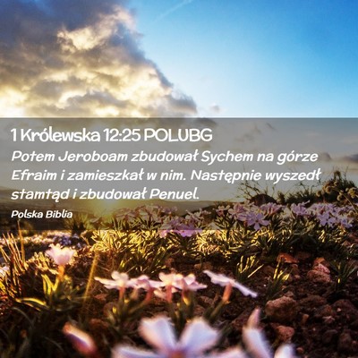 Picture 02 - 1 Królewska 12:25 POLUBG - Potem Jeroboam zbudował Sychem na górze Efraim - Bible Verse Picture