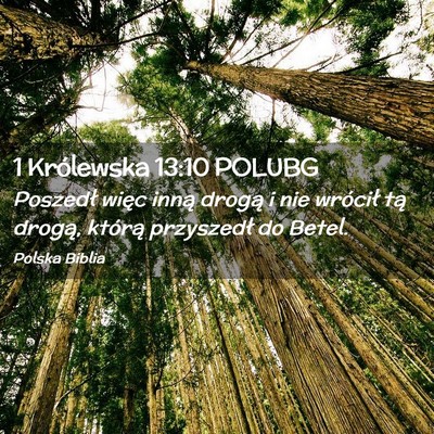 Picture 02 - 1 Królewska 13:10 POLUBG - Poszedł więc inną drogą i nie wrócił tą - Bible Verse Picture