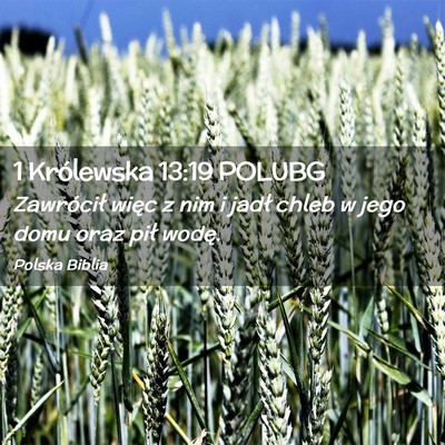 Picture 02 - 1 Królewska 13:19 POLUBG - Zawrócił więc z nim i jadł chleb w jego domu - Bible Verse Picture