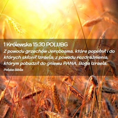Picture 02 - 1 Królewska 15:30 POLUBG - Z powodu grzechów Jeroboama, które popełnił i - Bible Verse Picture