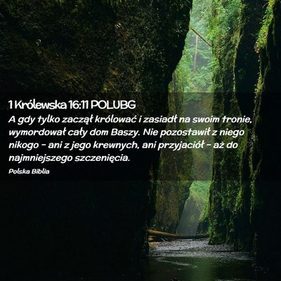 Picture 02 - 1 Królewska 16:11 POLUBG - A gdy tylko zaczął królować i zasiadł na - Bible Verse Picture