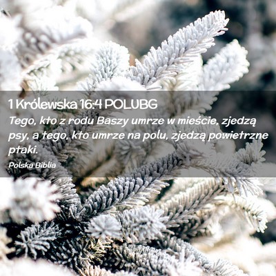 Picture 02 - 1 Królewska 16:4 POLUBG - Tego, kto z rodu Baszy umrze w mieście, zjedzą - Bible Verse Picture