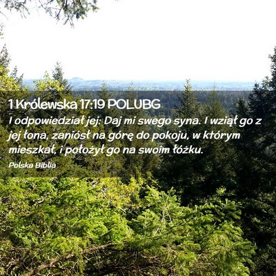 Picture 02 - 1 Królewska 17:19 POLUBG - I odpowiedział jej: Daj mi swego syna. I wziął - Bible Verse Picture