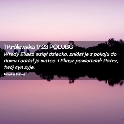 Picture 02 - 1 Królewska 17:23 POLUBG - Wtedy Eliasz wziął dziecko, zniósł je z - Bible Verse Picture