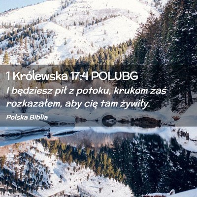 Picture 02 - 1 Królewska 17:4 POLUBG - I będziesz pił z potoku, krukom zaś - Bible Verse Picture