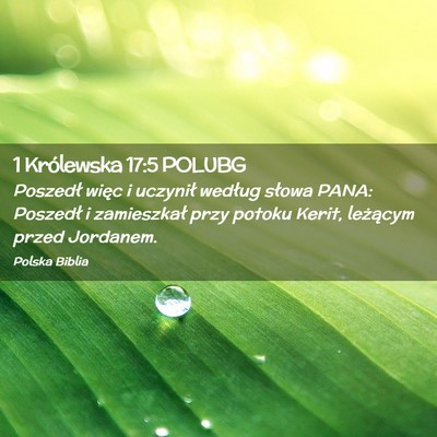 Picture 02 - 1 Królewska 17:5 POLUBG - Poszedł więc i uczynił według słowa PANA: - Bible Verse Picture