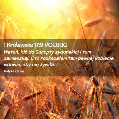 Picture 02 - 1 Królewska 17:9 POLUBG - Wstań, idź do Sarepty sydońskiej i tam - Bible Verse Picture