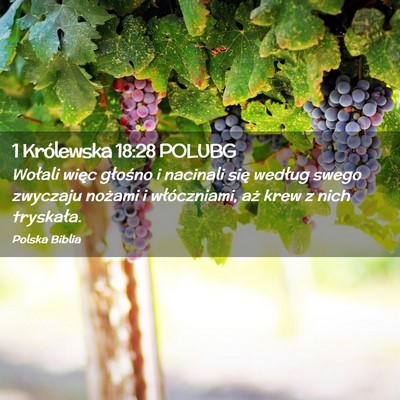 Picture 02 - 1 Królewska 18:28 POLUBG - Wołali więc głośno i nacinali się według - Bible Verse Picture