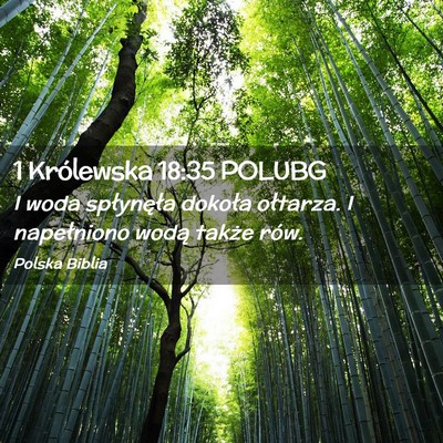 Picture 02 - 1 Królewska 18:35 POLUBG - I woda spłynęła dokoła ołtarza. I - Bible Verse Picture