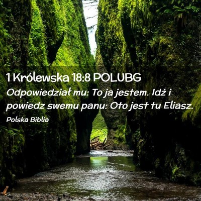 Picture 02 - 1 Królewska 18:8 POLUBG - Odpowiedział mu: To ja jestem. Idź i powiedz - Bible Verse Picture