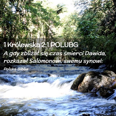 Picture 02 - 1 Królewska 2:1 POLUBG - A gdy zbliżał się czas śmierci Dawida, - Bible Verse Picture