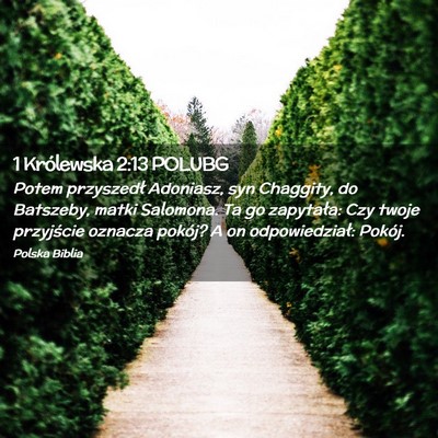 Picture 02 - 1 Królewska 2:13 POLUBG - Potem przyszedł Adoniasz, syn Chaggity, do - Bible Verse Picture