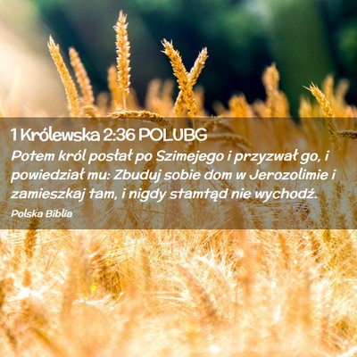 Picture 02 - 1 Królewska 2:36 POLUBG - Potem król posłał po Szimejego i przyzwał go, - Bible Verse Picture