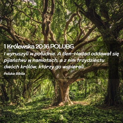Picture 02 - 1 Królewska 20:16 POLUBG - I wyruszyli w południe. A Ben-Hadad oddawał - Bible Verse Picture