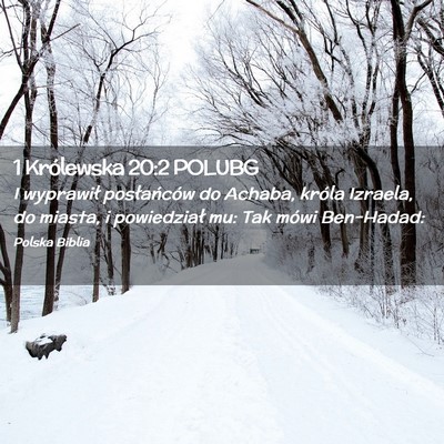 Picture 02 - 1 Królewska 20:2 POLUBG - I wyprawił posłańców do Achaba, króla - Bible Verse Picture