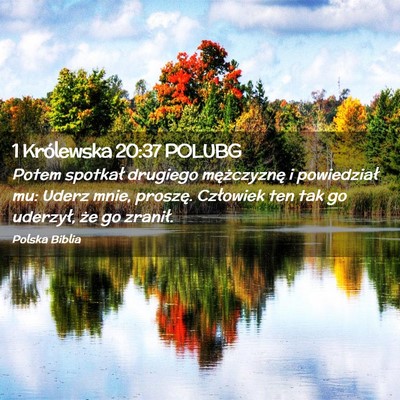 Picture 02 - 1 Królewska 20:37 POLUBG - Potem spotkał drugiego mężczyznę i - Bible Verse Picture
