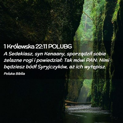Picture 02 - 1 Królewska 22:11 POLUBG - A Sedekiasz, syn Kenaany, sporządził sobie - Bible Verse Picture