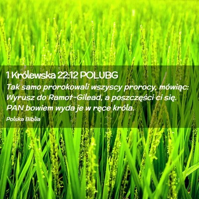 Picture 02 - 1 Królewska 22:12 POLUBG - Tak samo prorokowali wszyscy prorocy, mówiąc: - Bible Verse Picture