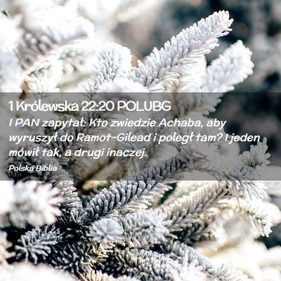 Picture 02 - 1 Królewska 22:20 POLUBG - I PAN zapytał: Kto zwiedzie Achaba, aby - Bible Verse Picture