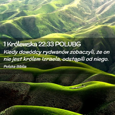 Picture 02 - 1 Królewska 22:33 POLUBG - Kiedy dowódcy rydwanów zobaczyli, że on nie - Bible Verse Picture