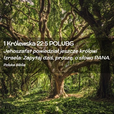 Picture 02 - 1 Królewska 22:5 POLUBG - Jehoszafat powiedział jeszcze królowi Izraela: - Bible Verse Picture