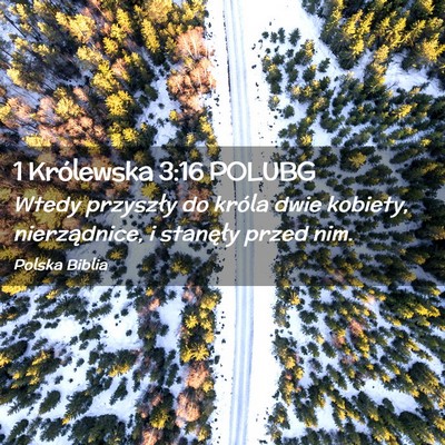 Picture 02 - 1 Królewska 3:16 POLUBG - Wtedy przyszły do króla dwie kobiety, - Bible Verse Picture