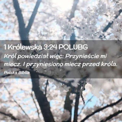 Picture 02 - 1 Królewska 3:24 POLUBG - Król powiedział więc: Przynieście mi miecz. I - Bible Verse Picture