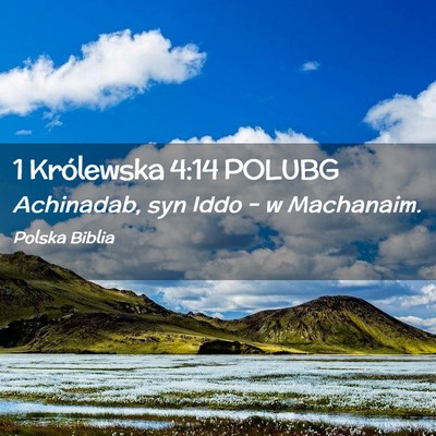 Picture 02 - 1 Królewska 4:14 POLUBG - Achinadab, syn Iddo – w - Bible Verse Picture