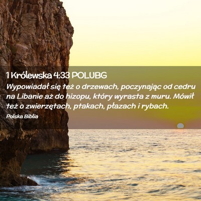 Picture 02 - 1 Królewska 4:33 POLUBG - Wypowiadał się też o drzewach, poczynając od - Bible Verse Picture