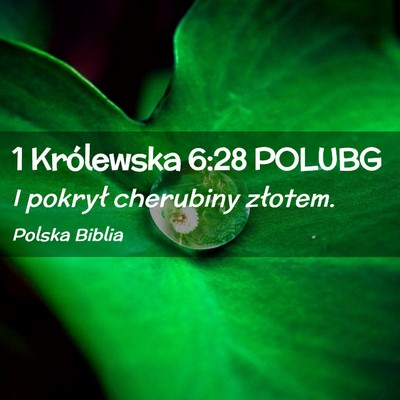 Picture 02 - 1 Królewska 6:28 POLUBG - I pokrył cherubiny - Bible Verse Picture