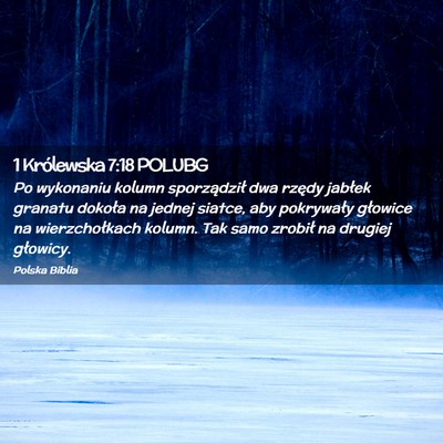 Picture 02 - 1 Królewska 7:18 POLUBG - Po wykonaniu kolumn sporządził dwa rzędy - Bible Verse Picture