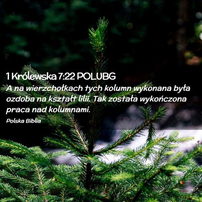 Picture 02 - 1 Królewska 7:22 POLUBG - A na wierzchołkach tych kolumn wykonana była - Bible Verse Picture