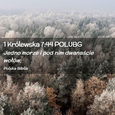 Picture 02 - 1 Królewska 7:44 POLUBG - Jedno morze i pod nim dwanaście - Bible Verse Picture
