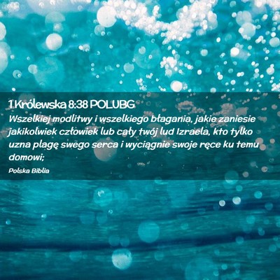 Picture 02 - 1 Królewska 8:38 POLUBG - Wszelkiej modlitwy i wszelkiego błagania, jakie - Bible Verse Picture