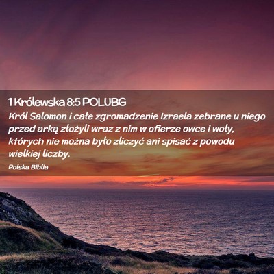 Picture 02 - 1 Królewska 8:5 POLUBG - Król Salomon i całe zgromadzenie Izraela - Bible Verse Picture