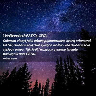 Picture 02 - 1 Królewska 8:63 POLUBG - Salomon złożył jako ofiarę pojednawczą, - Bible Verse Picture