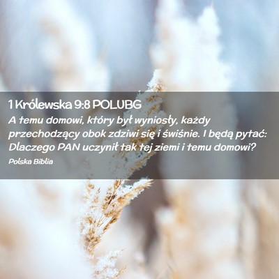 Picture 02 - 1 Królewska 9:8 POLUBG - A temu domowi, który był wyniosły, każdy - Bible Verse Picture
