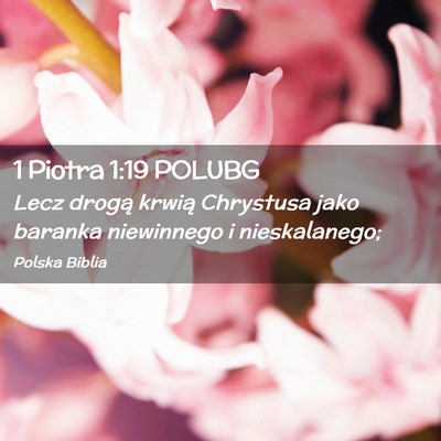 Picture 02 - 1 Piotra 1:19 POLUBG - Lecz drogą krwią Chrystusa jako baranka - Bible Verse Picture