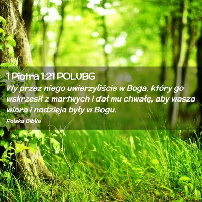 Picture 02 - 1 Piotra 1:21 POLUBG - Wy przez niego uwierzyliście w Boga, który go - Bible Verse Picture