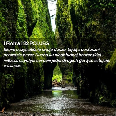 Picture 02 - 1 Piotra 1:22 POLUBG - Skoro oczyściliście swoje dusze, będąc - Bible Verse Picture