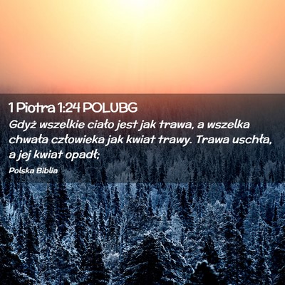 Picture 02 - 1 Piotra 1:24 POLUBG - Gdyż wszelkie ciało jest jak trawa, a wszelka - Bible Verse Picture