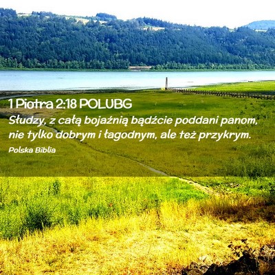 Picture 02 - 1 Piotra 2:18 POLUBG - Słudzy, z całą bojaźnią bądźcie poddani - Bible Verse Picture