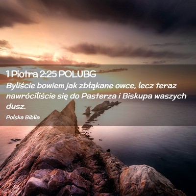 Picture 02 - 1 Piotra 2:25 POLUBG - Byliście bowiem jak zbłąkane owce, lecz teraz - Bible Verse Picture