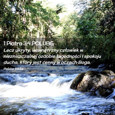 Picture 02 - 1 Piotra 3:4 POLUBG - Lecz ukryty, wewnętrzny człowiek w - Bible Verse Picture