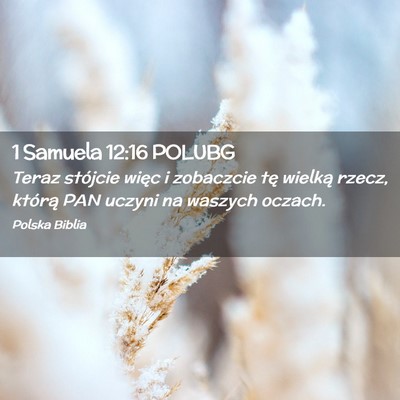 Picture 02 - 1 Samuela 12:16 POLUBG - Teraz stójcie więc i zobaczcie tę wielką - Bible Verse Picture