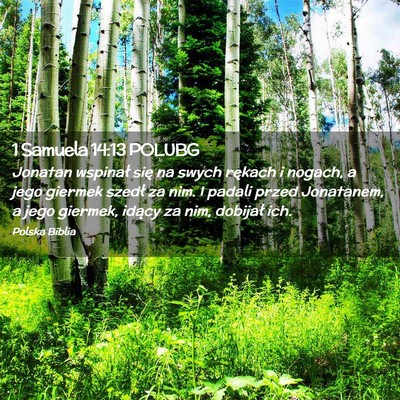 Picture 02 - 1 Samuela 14:13 POLUBG - Jonatan wspinał się na swych rękach i nogach, - Bible Verse Picture