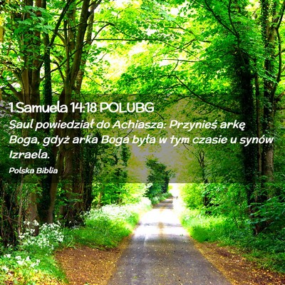 Picture 02 - 1 Samuela 14:18 POLUBG - Saul powiedział do Achiasza: Przynieś arkę - Bible Verse Picture