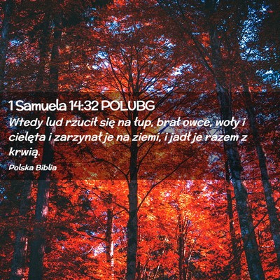 Picture 02 - 1 Samuela 14:32 POLUBG - Wtedy lud rzucił się na łup, brał owce, woły - Bible Verse Picture