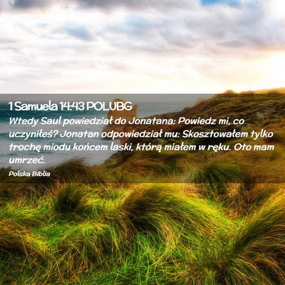 Picture 02 - 1 Samuela 14:43 POLUBG - Wtedy Saul powiedział do Jonatana: Powiedz mi, - Bible Verse Picture