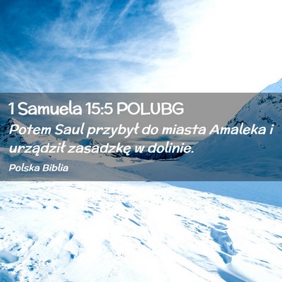 Picture 02 - 1 Samuela 15:5 POLUBG - Potem Saul przybył do miasta Amaleka i - Bible Verse Picture